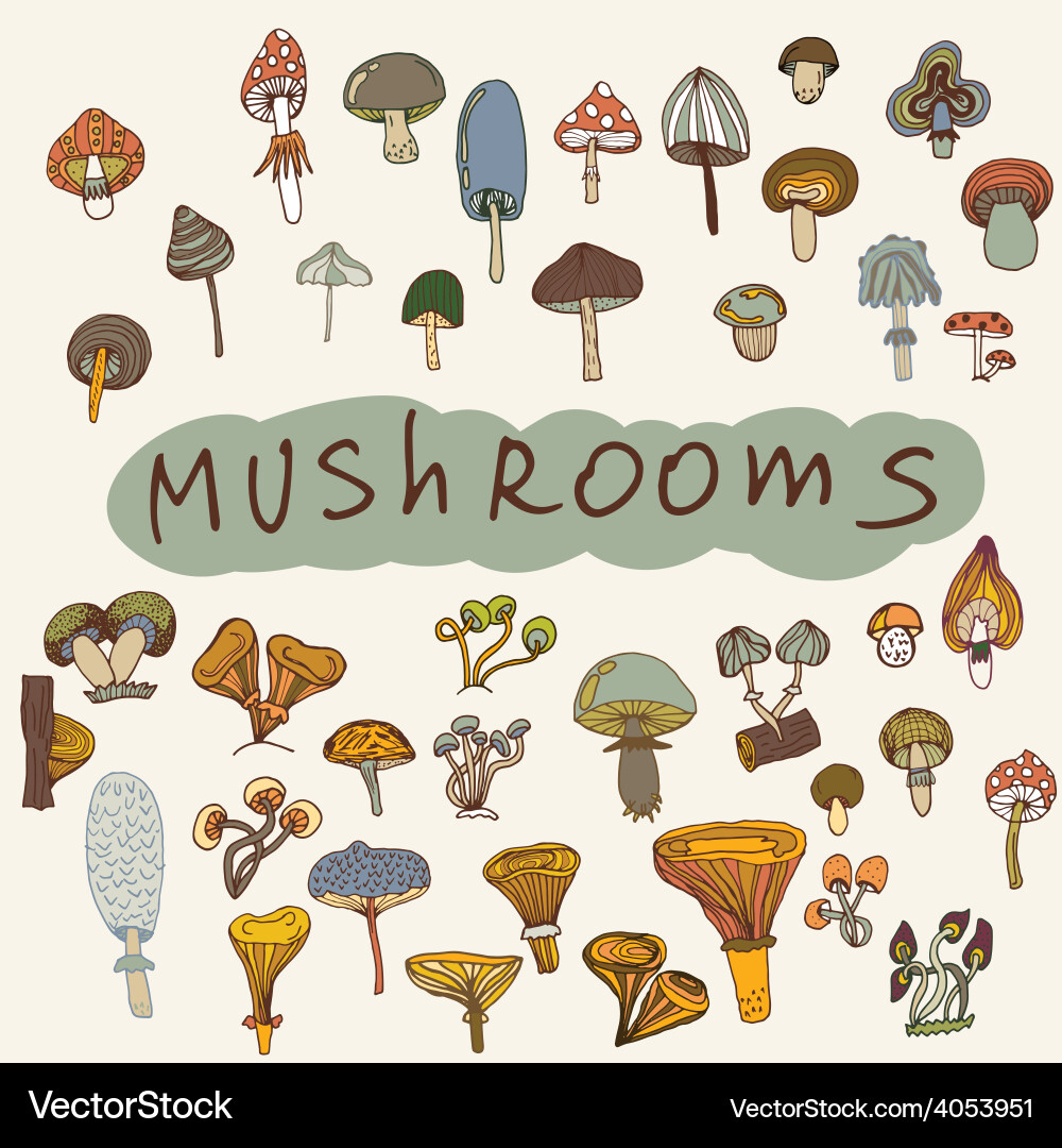 Set of handdrawn mushrooms Royalty Free Vector Image
