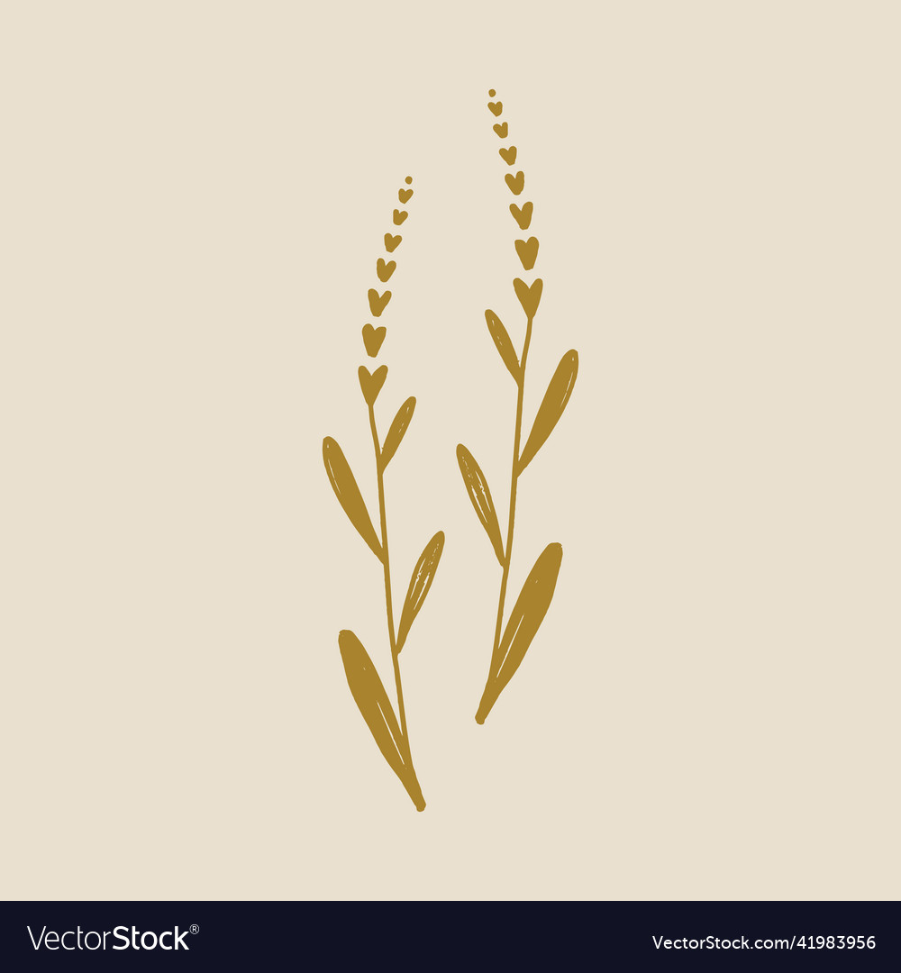 Boho minimalistic tiny lavender branch logo Vector Image