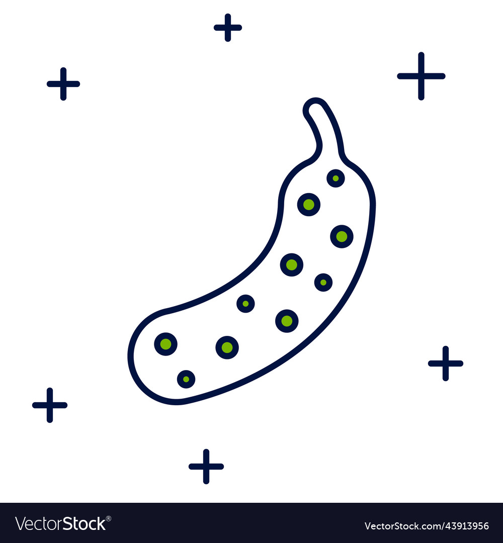 Filled outline fresh cucumber icon isolated