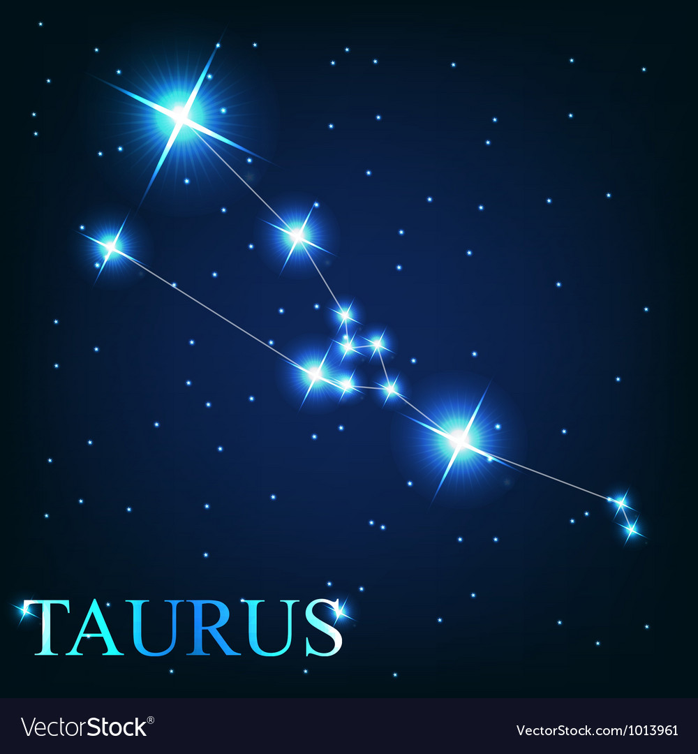 The taurus zodiac sign of the beautiful bright Vector Image