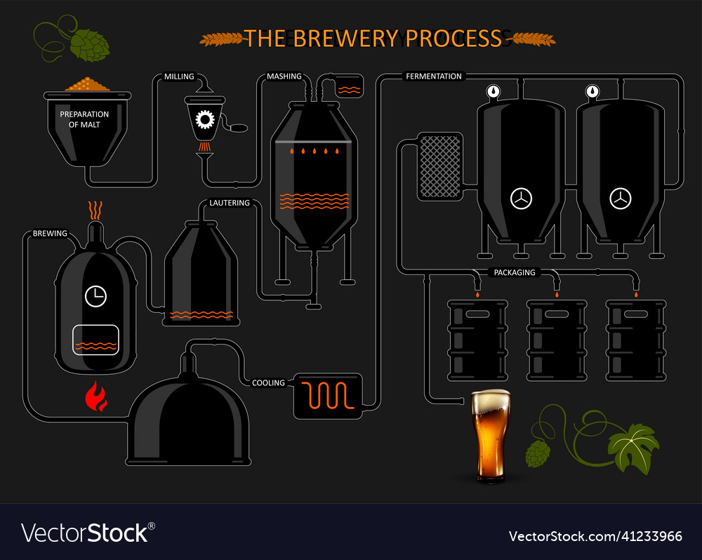 Diagram Of The Process Brewing Beer Detailed Vector Image 9536