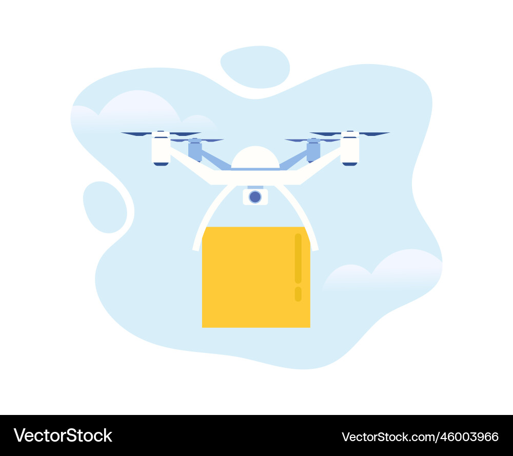 Drone with box Royalty Free Vector Image - VectorStock