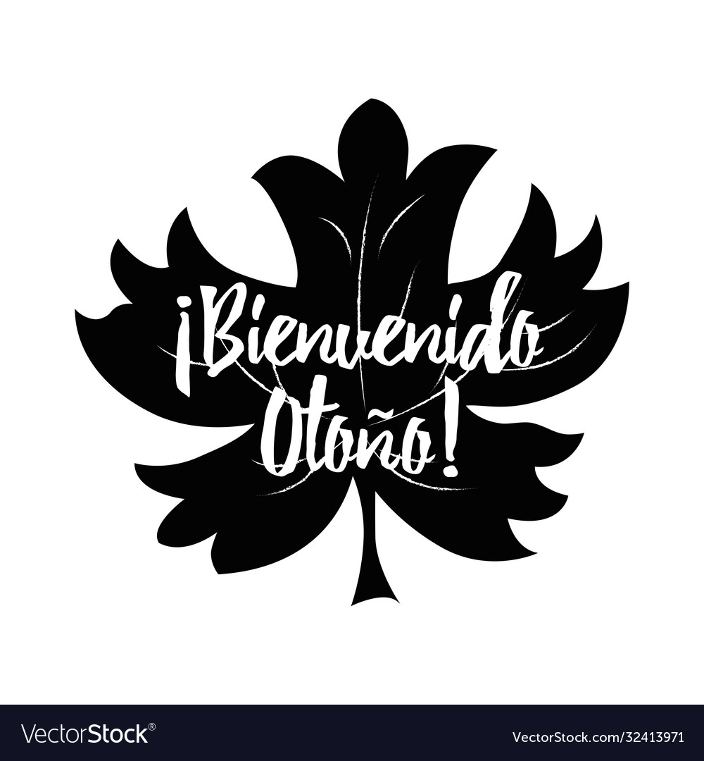 Hello autumn in spanish into black hand drawn Vector Image