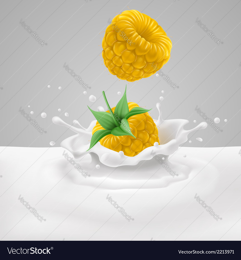 Yellow raspberry with milk