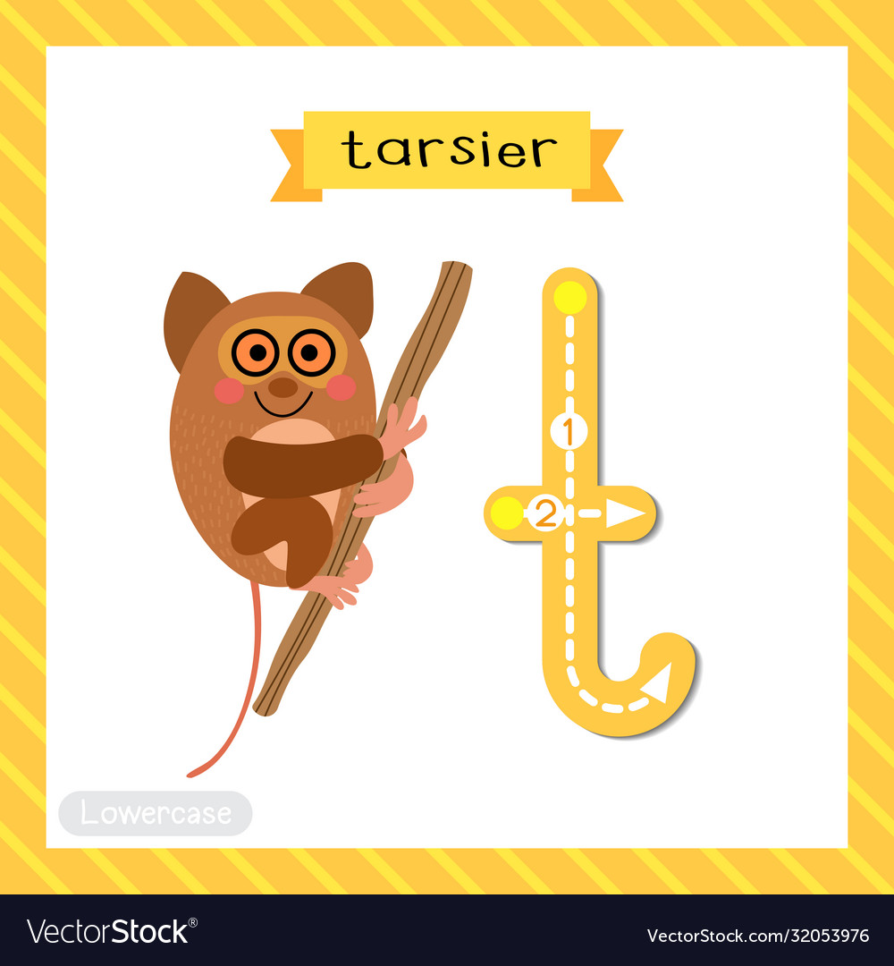 Letter t lowercase tracing tarsier hanging on tree