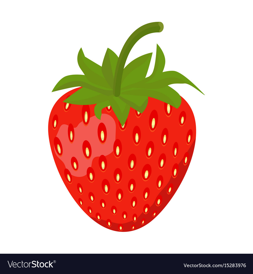 Strawberry icon isolated on white background Vector Image