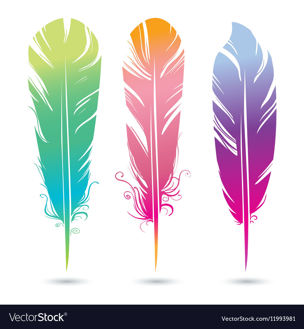 Download Color bright decorative feathers of birds Vector Image