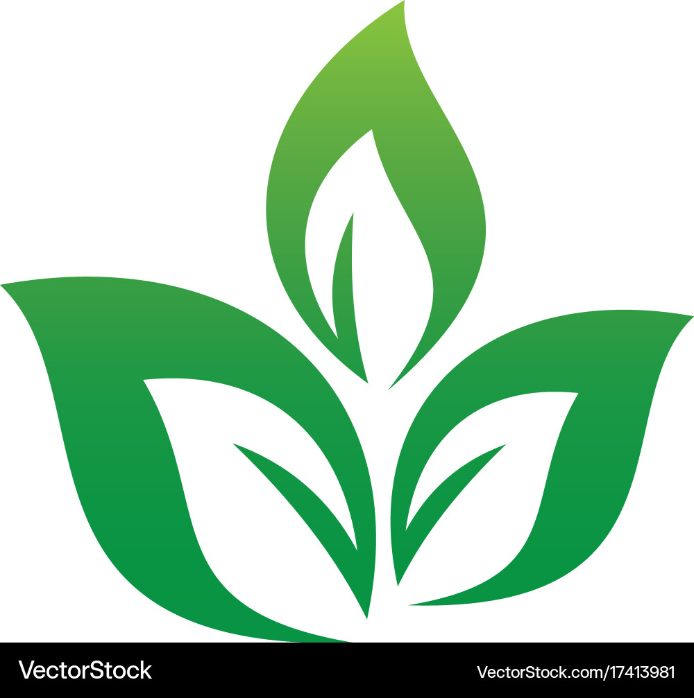 Leaf eco logo Royalty Free Vector Image - VectorStock