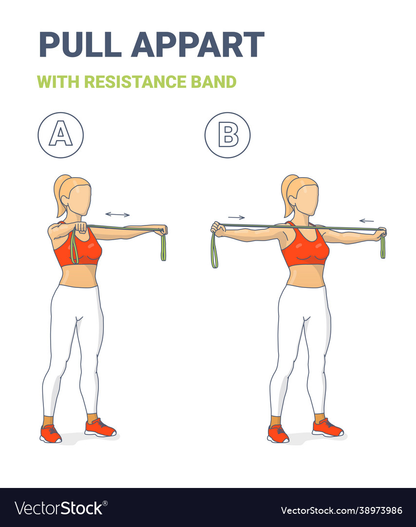 Girl doing pull appart home workout exercise Vector Image