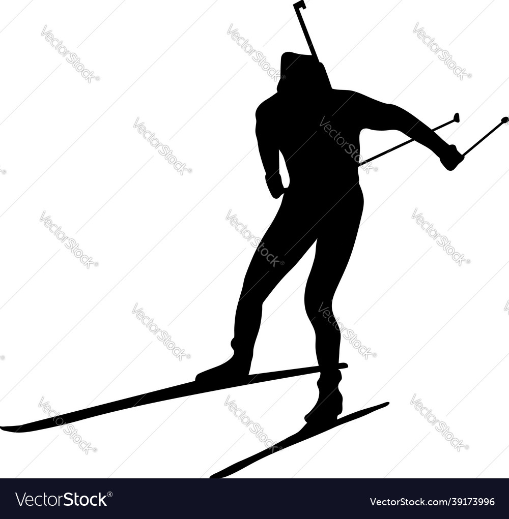 Biathlon silhouette Royalty Free Vector Image - VectorStock