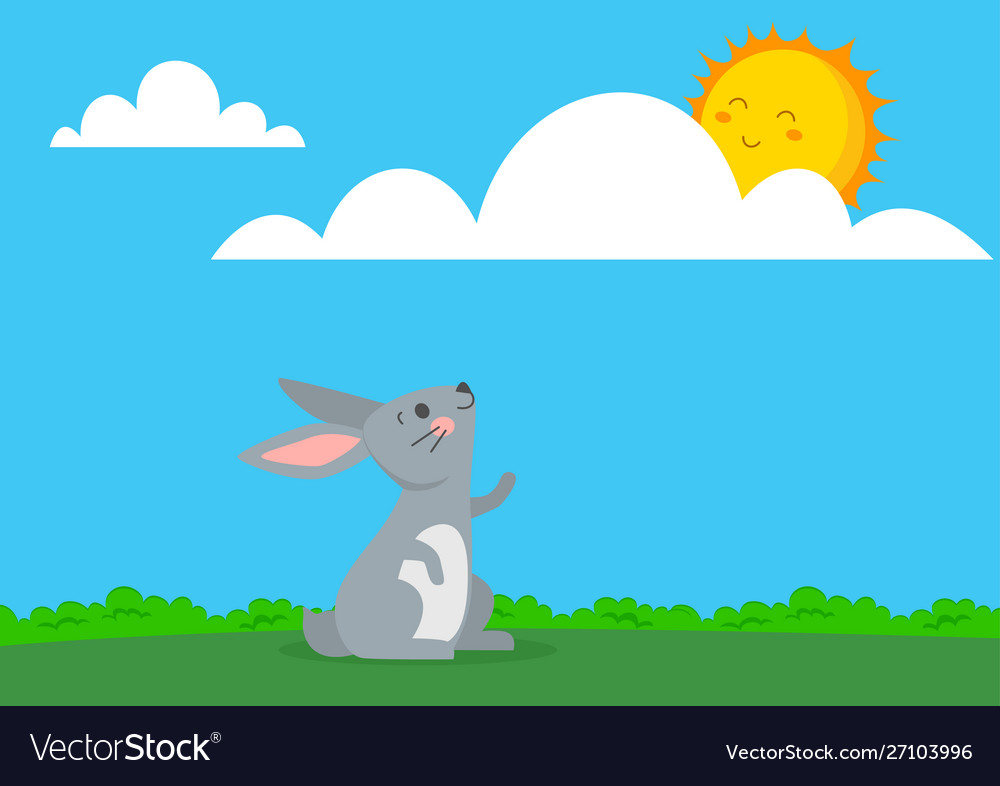 Rabbit looking at sun