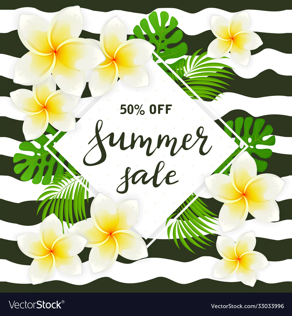 Summer sale on card with flower frangipani