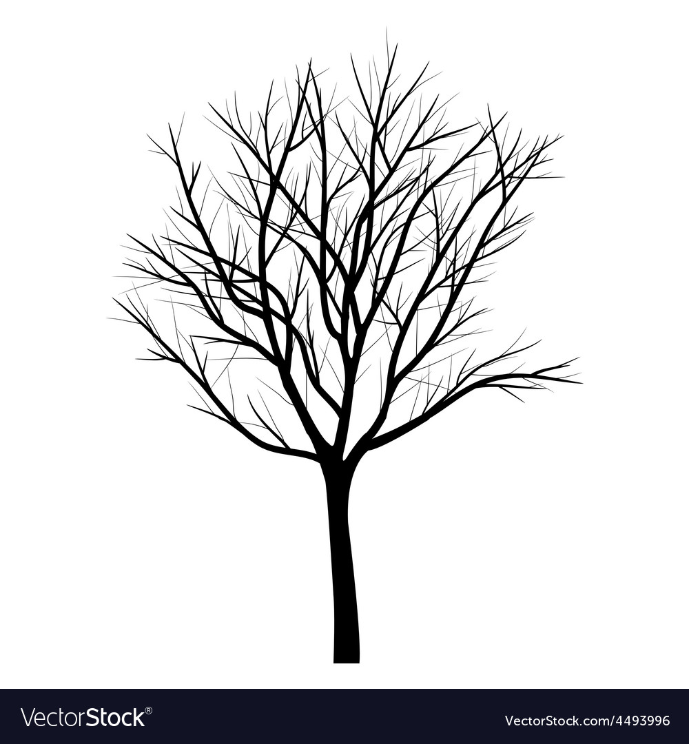 Trees with dead branch Royalty Free Vector Image