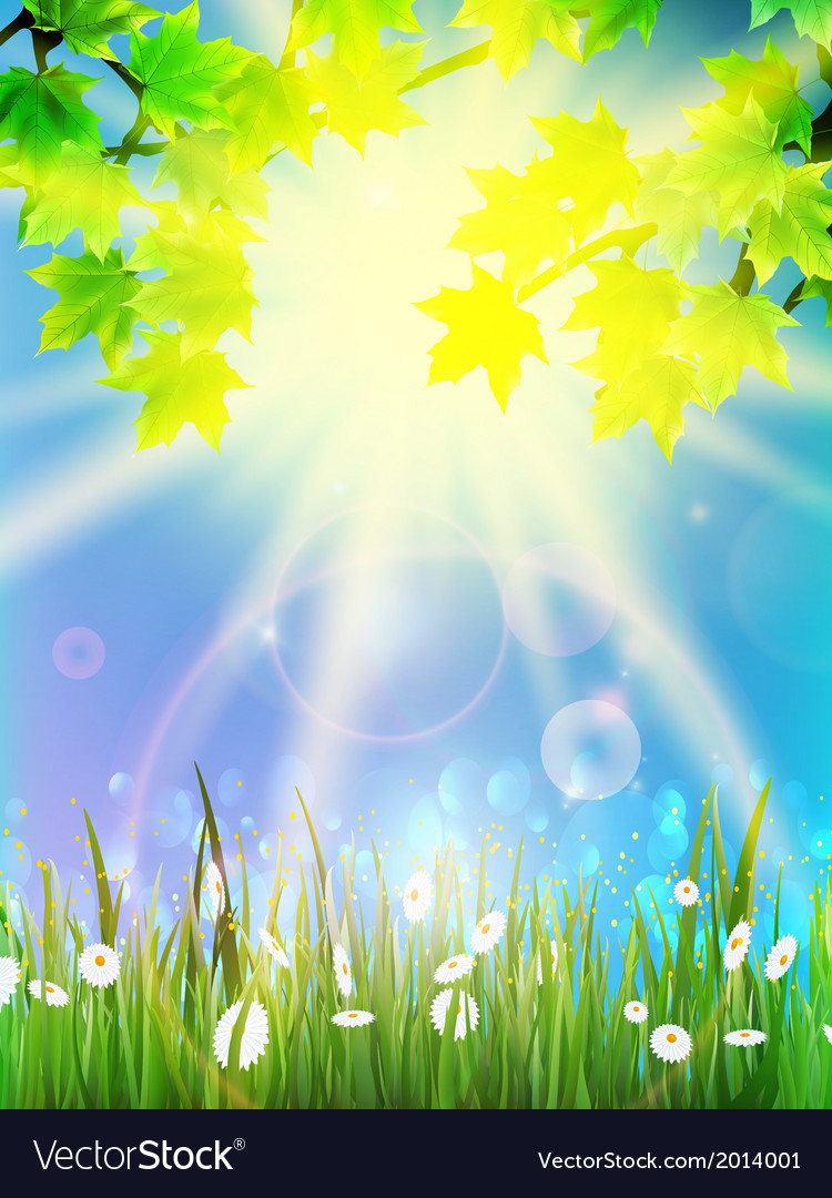 Beautiful nature eco background Royalty Free Vector Image