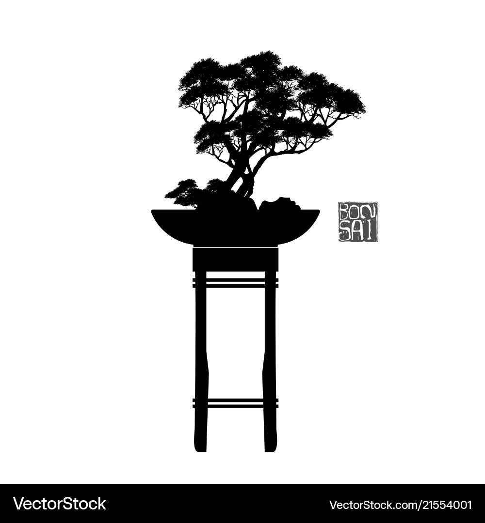 Bonsai tree japanese and chinese trees Royalty Free Vector