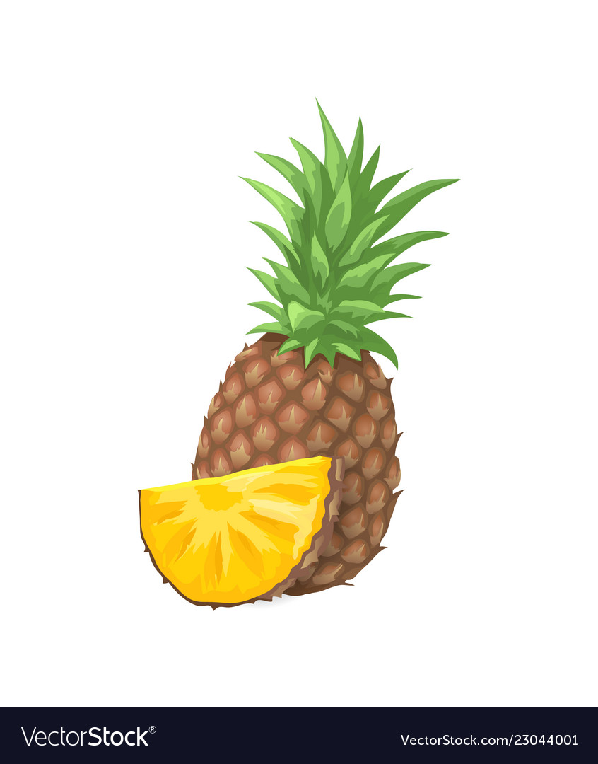 Pineapple Tropical Fruit Icon Royalty Free Vector Image 2538