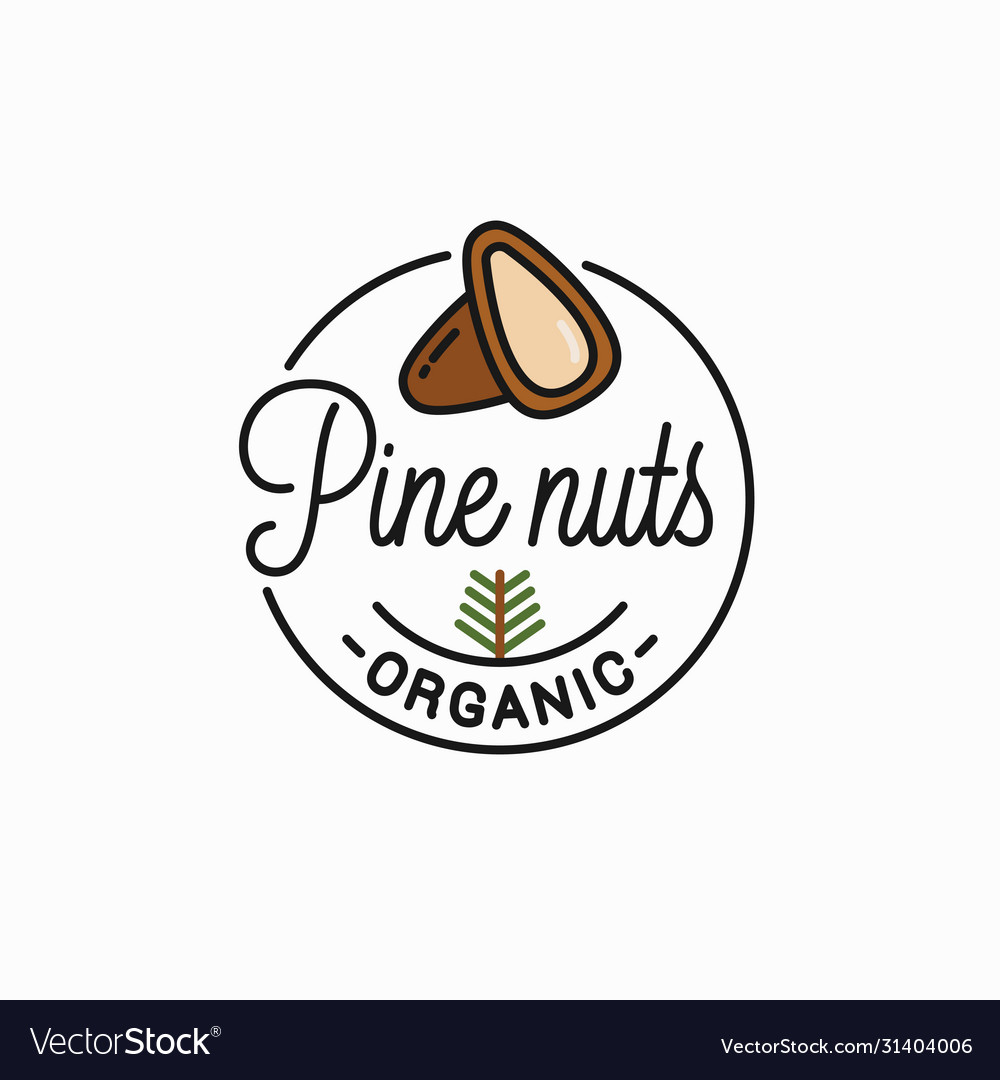 Pine nut logo round linear peeled nuts Royalty Free Vector