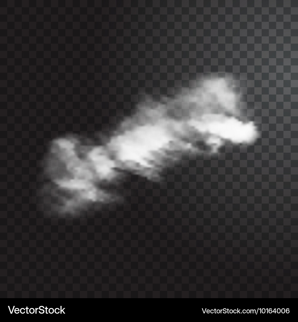 Realistic cloud on transparent background Vector Image