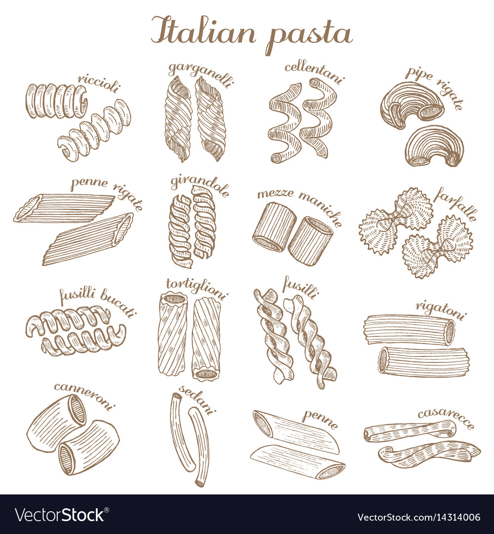 Set of different pasta shapes Royalty Free Vector Image