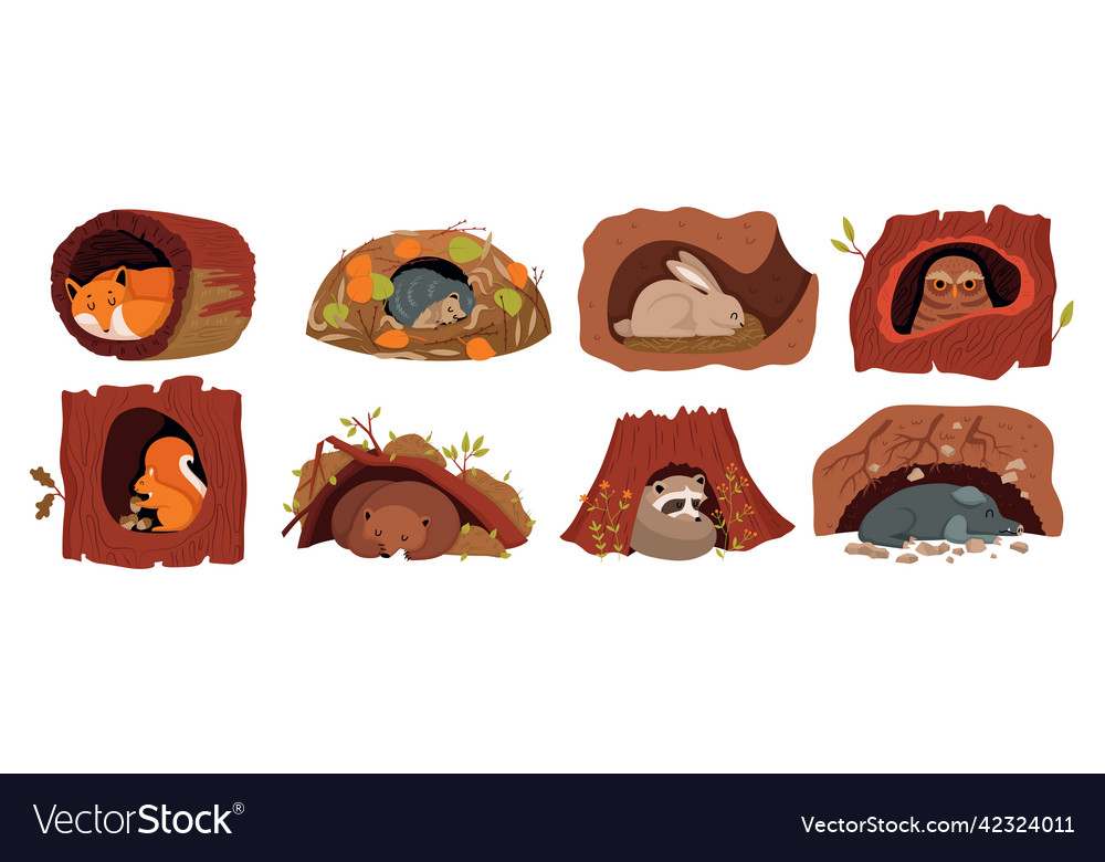 Hollow tree animals set Royalty Free Vector Image