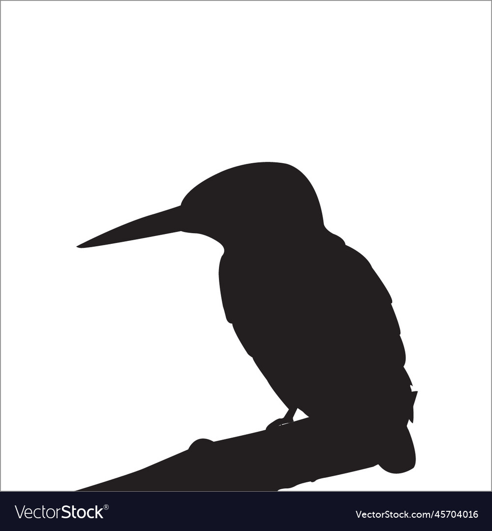 Common kingfisher silhouette Royalty Free Vector Image