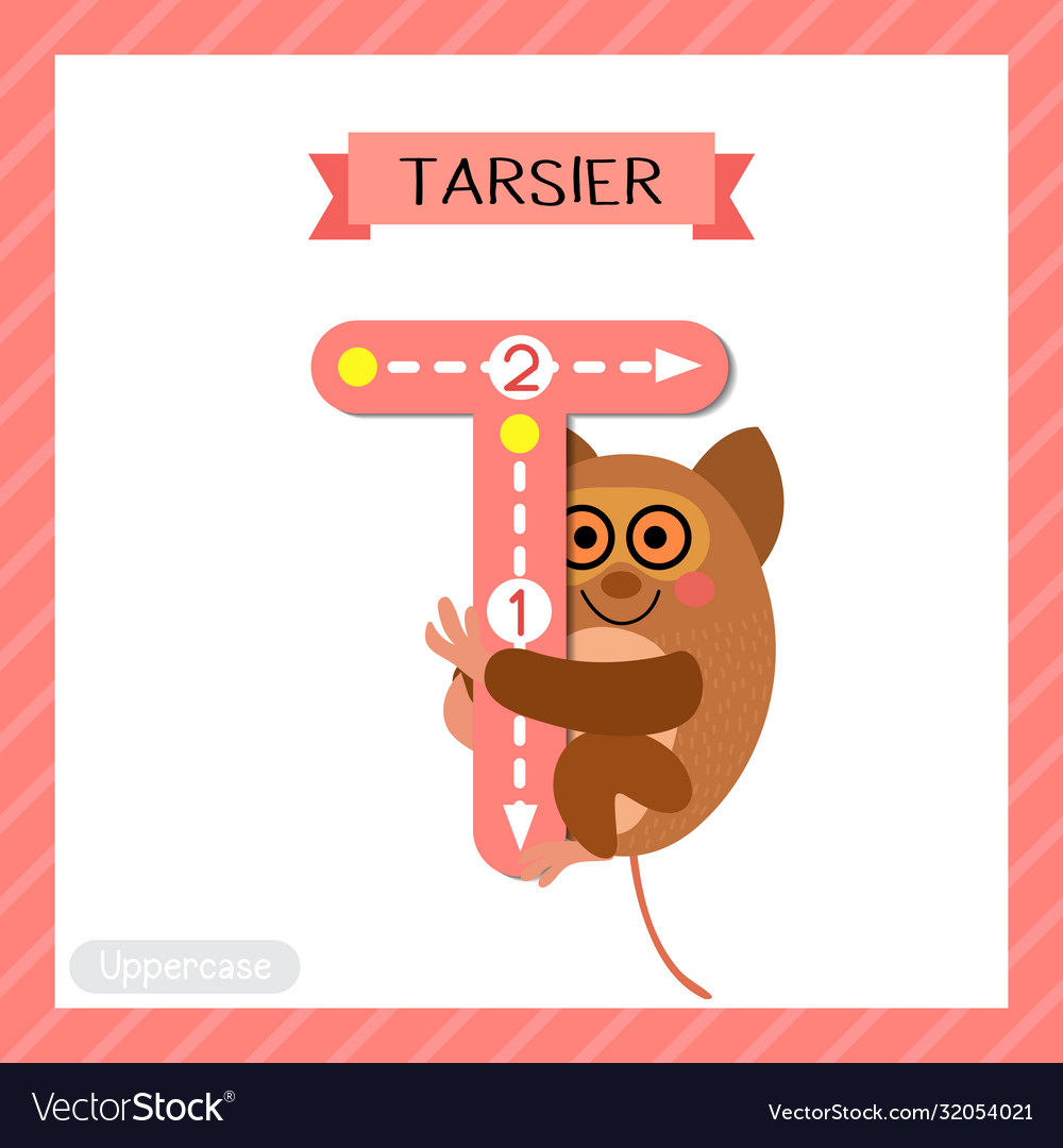 Letter t uppercase tracing tarsier Royalty Free Vector Image