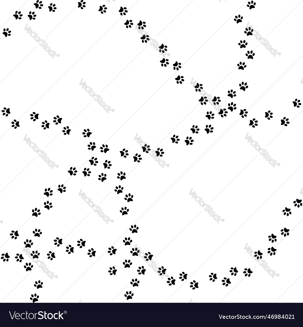 Pads of cat paws animal paw prints on ground pets Vector Image