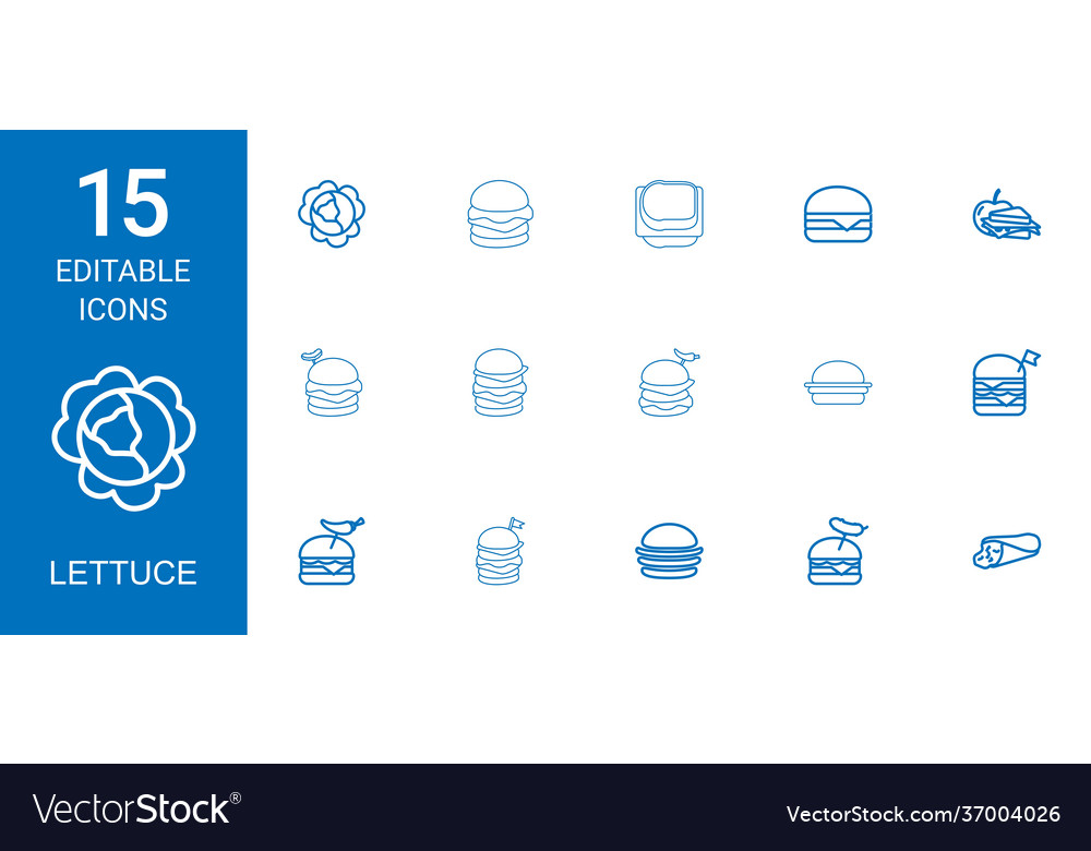 15 lettuce icons