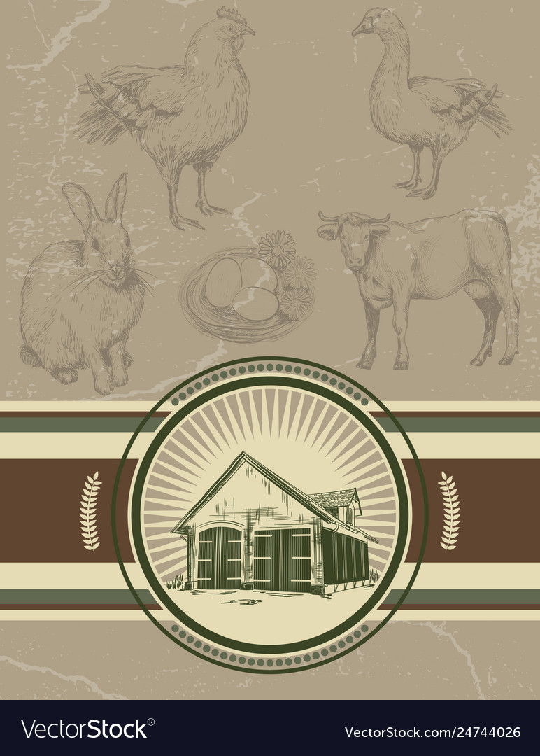 Background with label for butchery icons