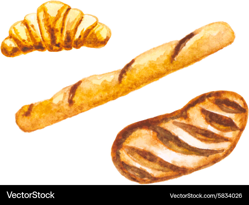 Bread set Royalty Free Vector Image - VectorStock