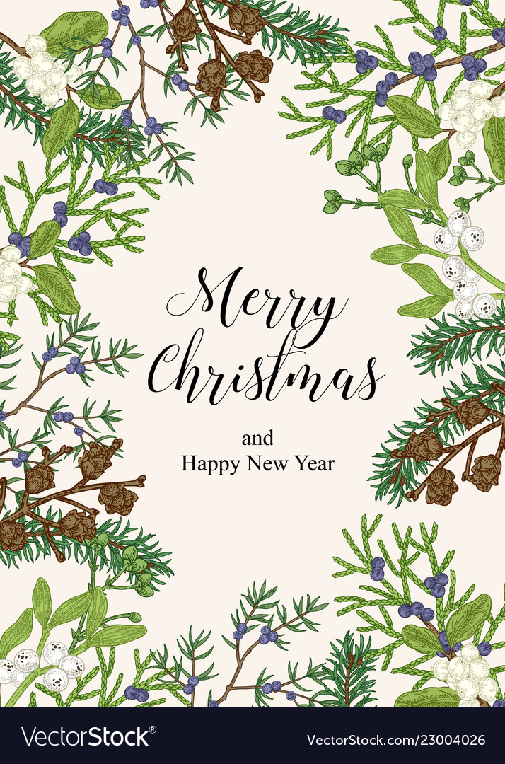 Hand drawn christmas card with winter plants Vector Image