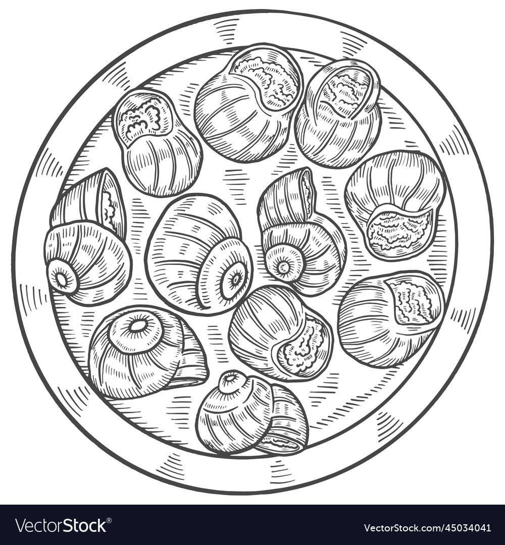 Escargots france food cuisine isolated doodle Vector Image