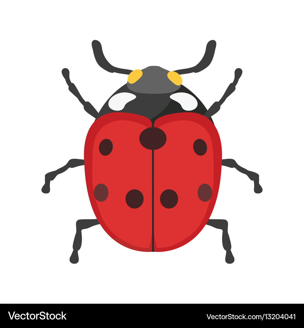 Insect ladybug icon flat isolated Royalty Free Vector Image