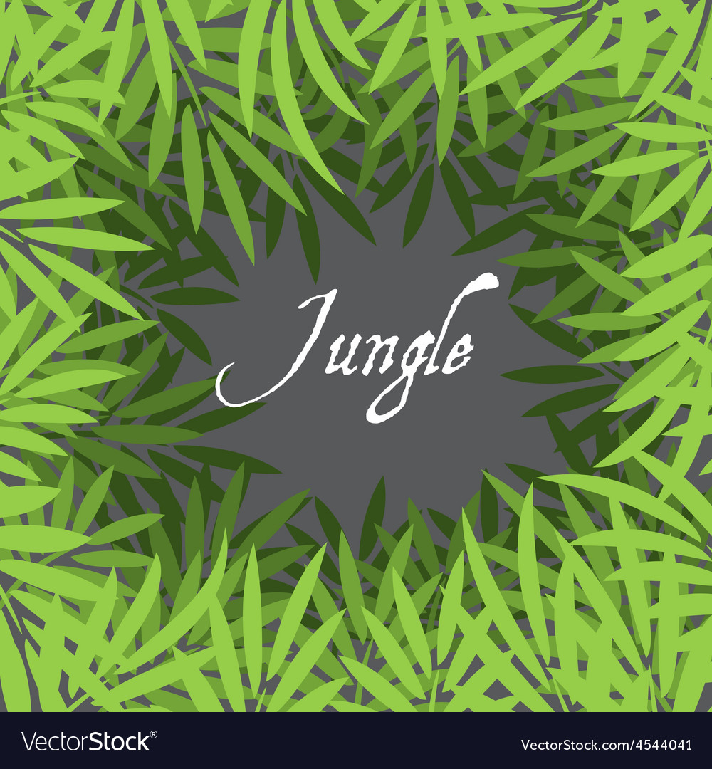 Jungle background