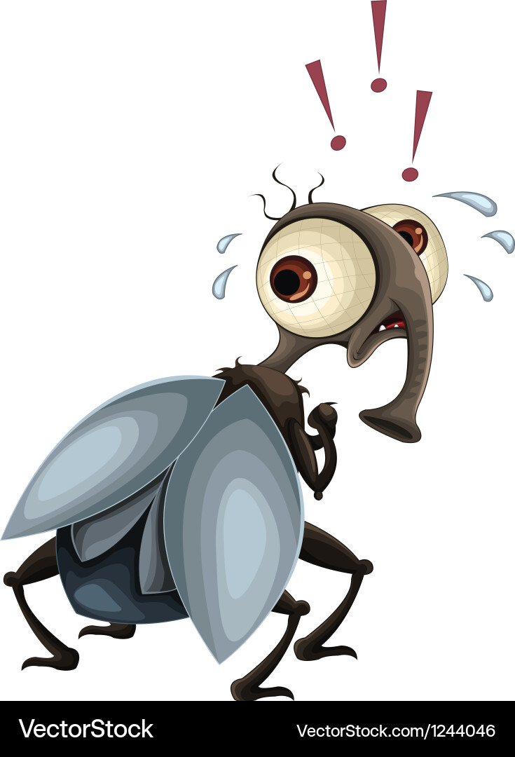 Fly Royalty Free Vector Image - VectorStock