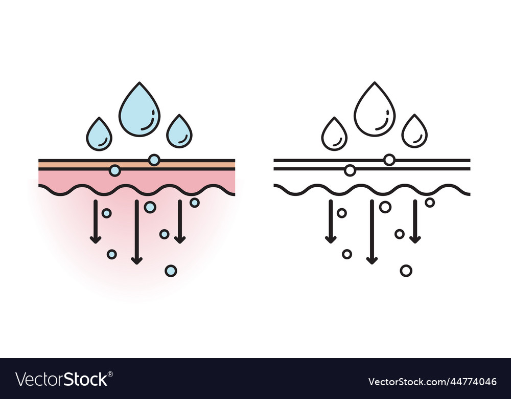 Mechanism of nutrient absorption Royalty Free Vector Image