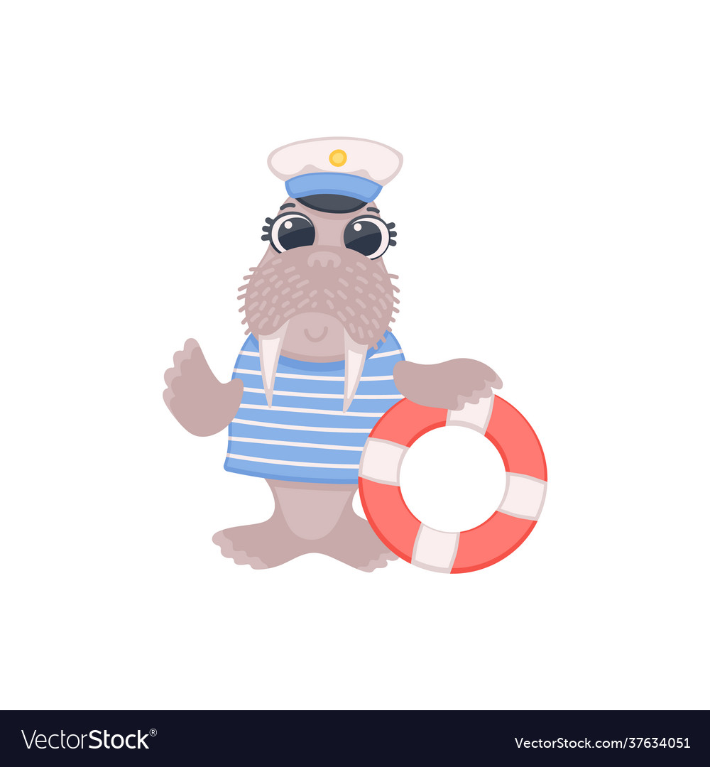 Funny comic walrus sailor with lifebuoy flat