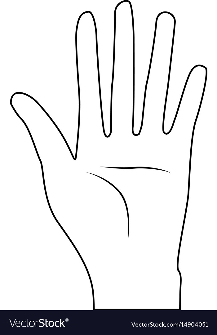 Line nice hand with all fingers and palm Vector Image