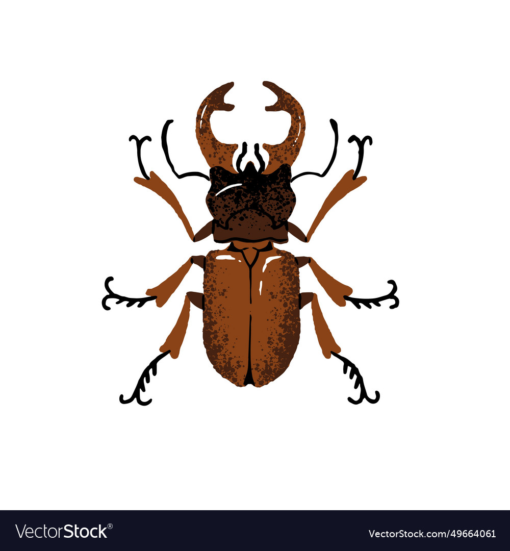 Lucanus cervus european or greater stag beetle