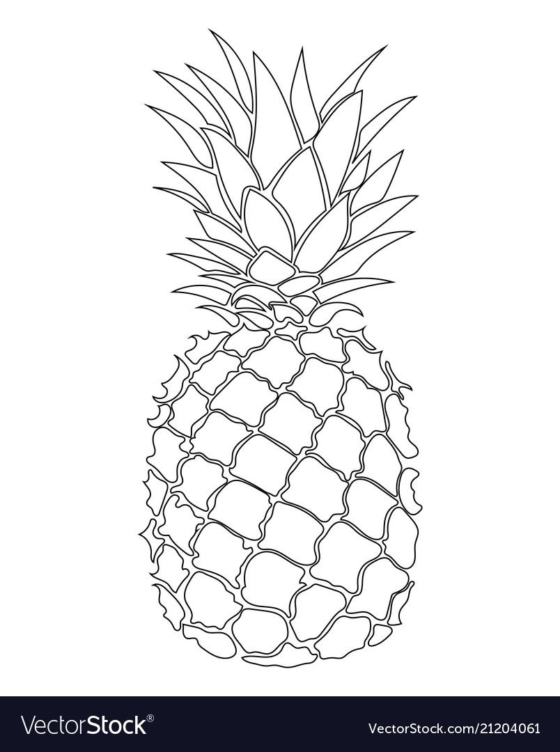 Pineapple black and white print