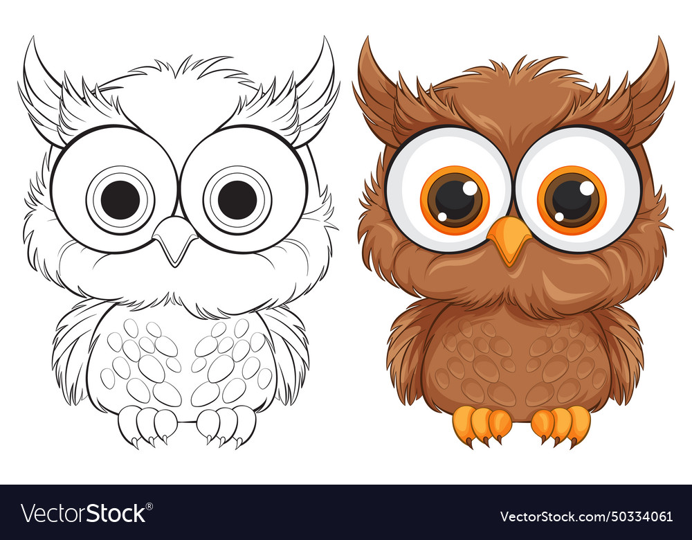 Two stylized owls one outlined colored Royalty Free Vector