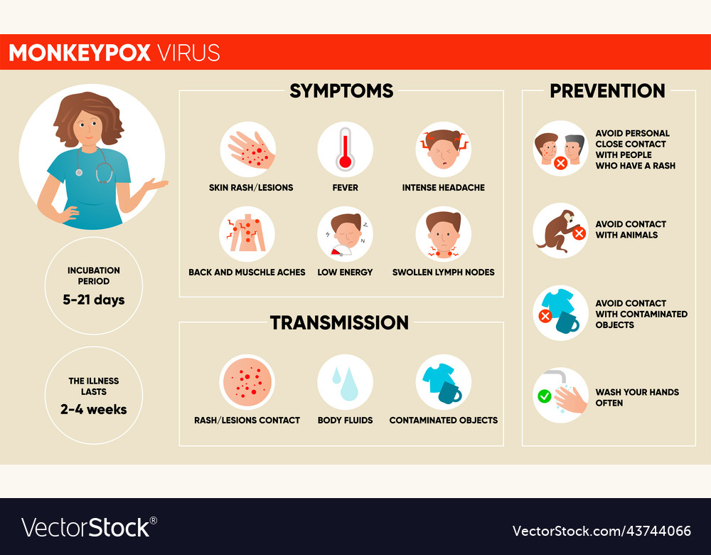 Monkeypox virus symptoms simple infographic post Vector Image