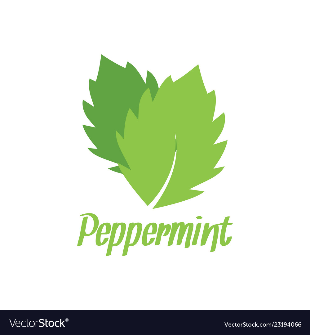 Peppermint logo design inspiration Royalty Free Vector Image