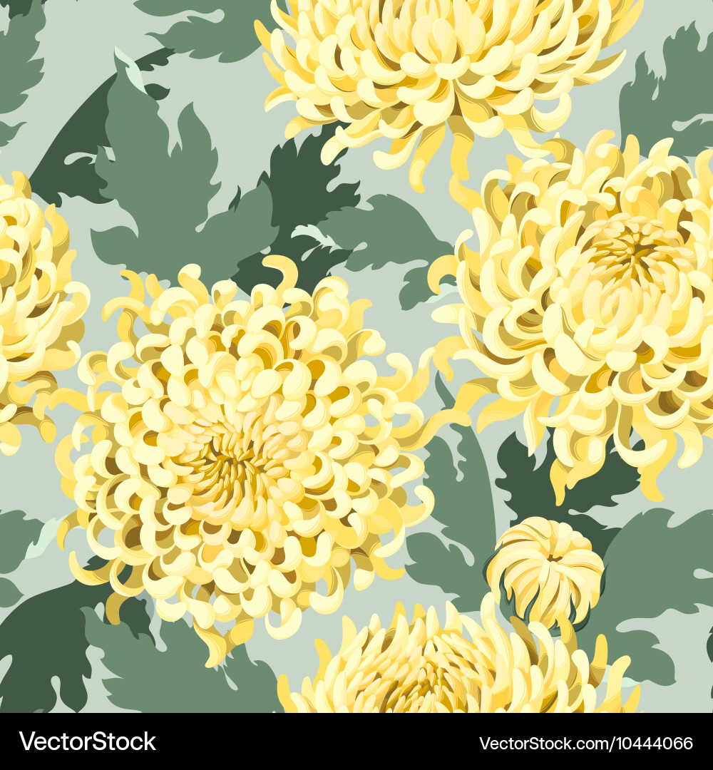 Seamless japanese chrysanthemum Royalty Free Vector Image