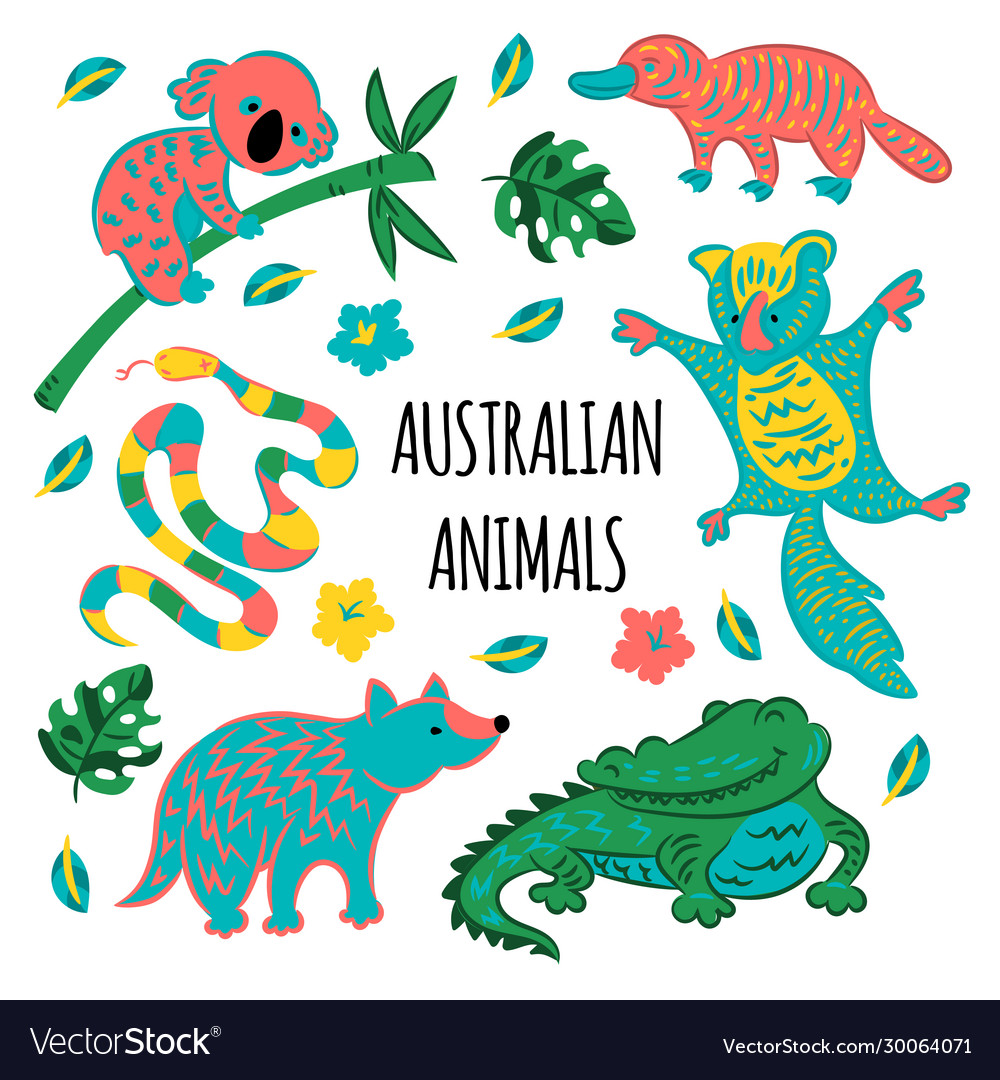 Cartoon Sugar Glider Vector Images 44