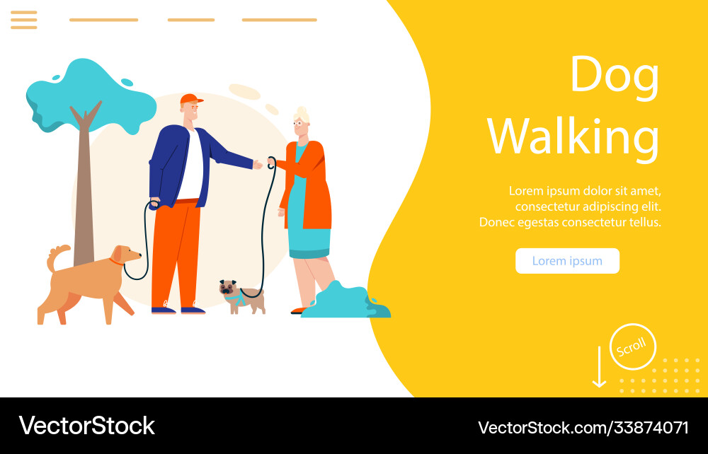 dog walking and pet sitting