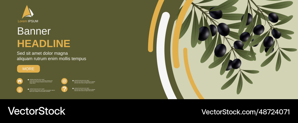 Olive tree branch Royalty Free Vector Image - VectorStock