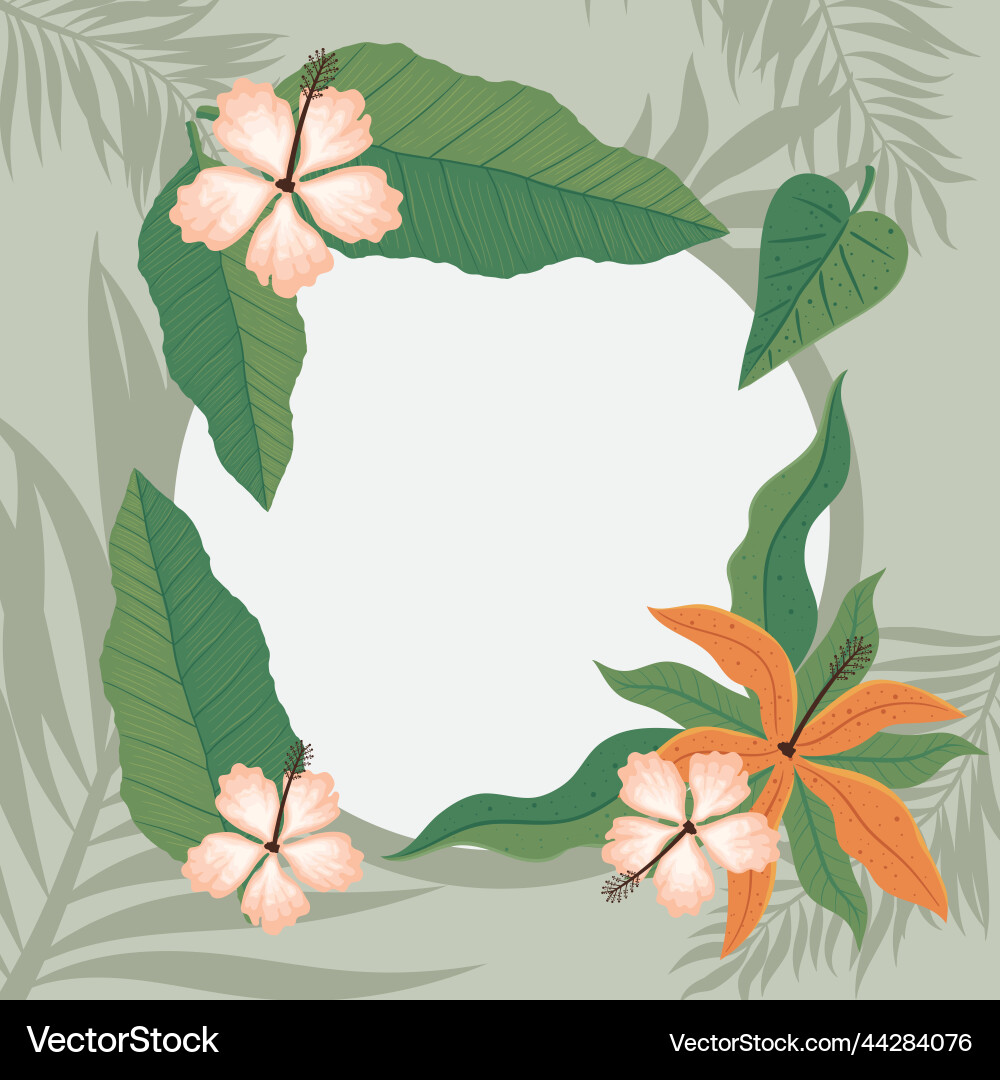 Flowers garden frame pattern Royalty Free Vector Image