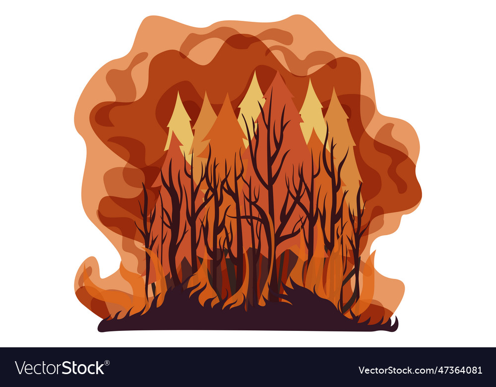 A forest fire Royalty Free Vector Image - VectorStock