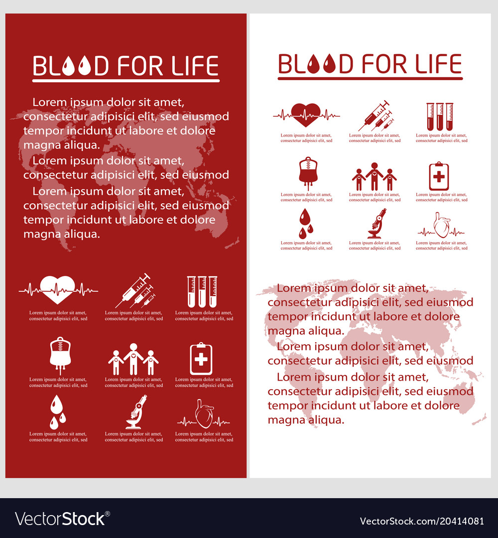 blood donor flyer design template royalty free vector image